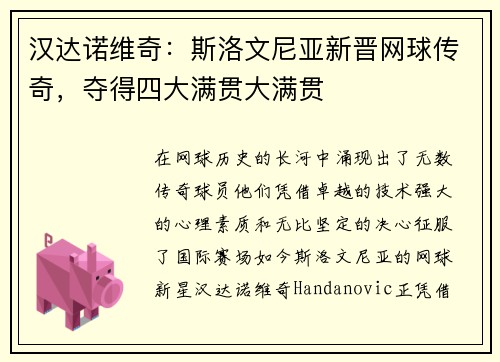 汉达诺维奇：斯洛文尼亚新晋网球传奇，夺得四大满贯大满贯